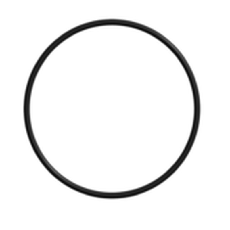 Filter Housing STD O ring 10''